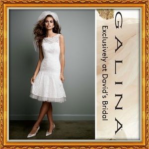 NWT | Galina All Over Lace Short Dress with Illusion Neckline!